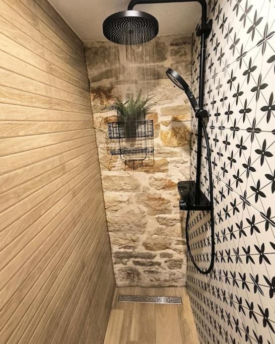 Apartma Big Oasis House With Garden,near Colosseum