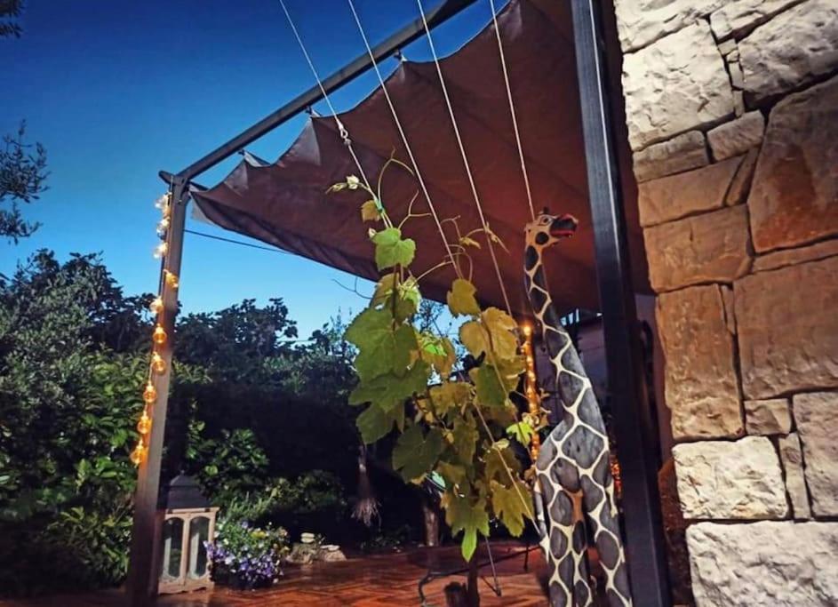 Apartma Big Oasis House With Garden,near Colosseum *