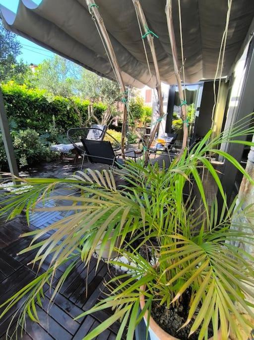 Big Oasis House With Garden,near Colosseum *