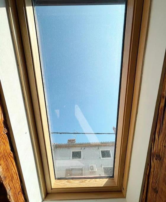 Big Oasis House With Garden,near Colosseum Apartment