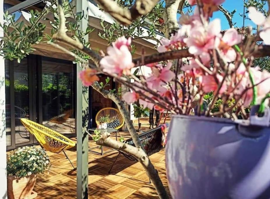 Big Oasis House With Garden,near Colosseum Apartment *