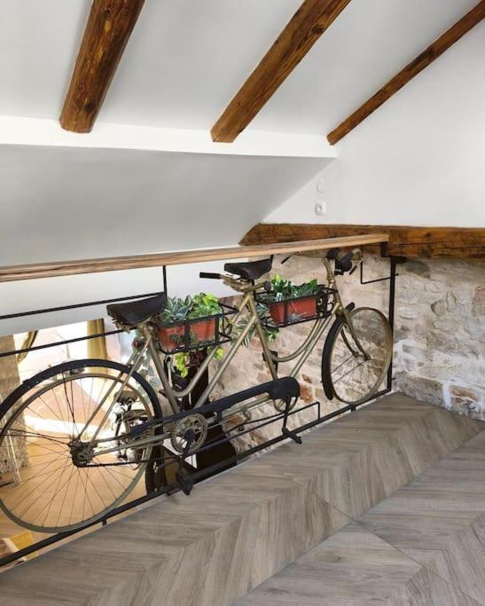 Big Oasis House With Garden,near Colosseum Apartment Pula
