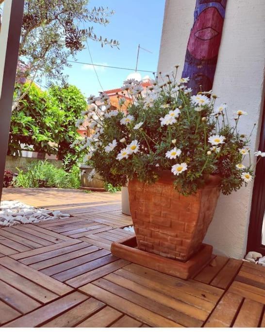 Apartment Big Oasis House With Garden,near Colosseum *