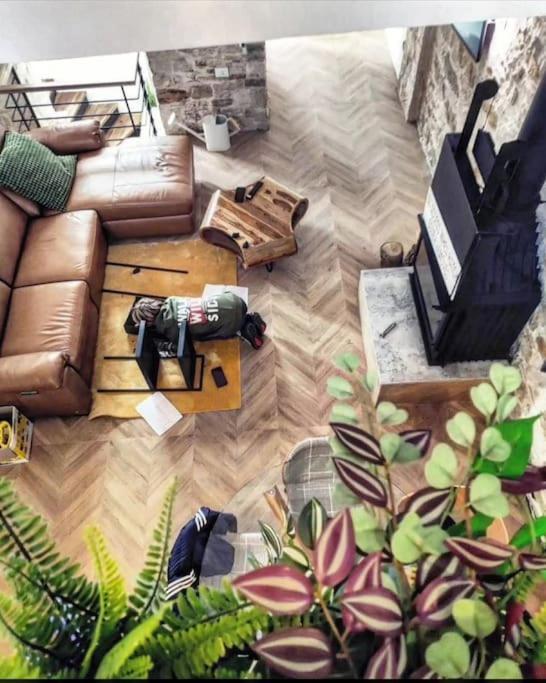 Big Oasis House With Garden,near Colosseum Apartment