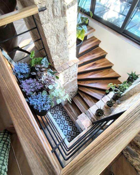 Big Oasis House With Garden,near Colosseum Apartment *