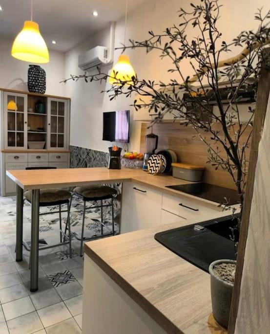 Big Oasis House With Garden,near Colosseum * Pula