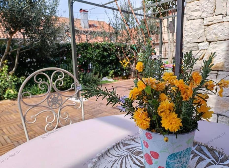 Apartment Big Oasis House With Garden,near Colosseum