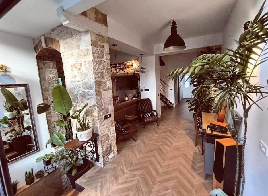 Apartment Big Oasis House With Garden,near Colosseum Pula